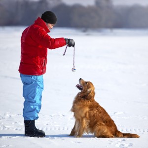 cold weather pet safety