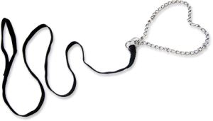 Empty collar and leash from a lost dog.