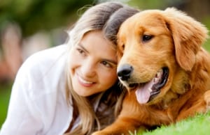 Dog recovering from exploratory bladder surgery.