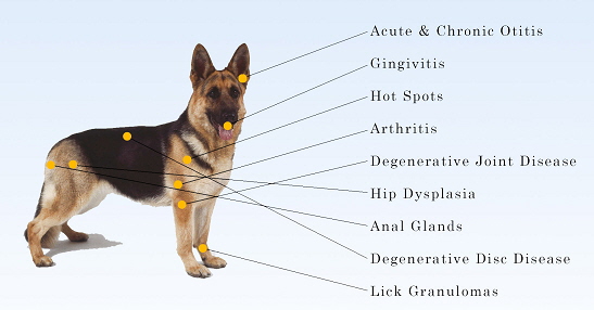 laser_therapy_chart