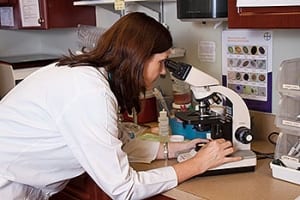 Vet examining a biopsy sample under the microscope.