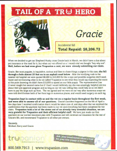 Pet insurance story.