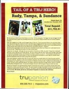 Pet insurance story.