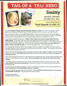 Pet insurance story.