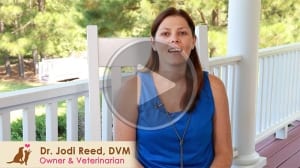 Dr. Jodi Reed, DVM.