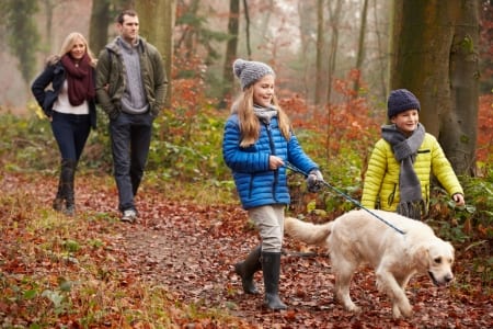 Family Walking Dog Through Winter Woodland Our spay and neuter program ensures your dog is happy and free to come and go as you want him to.