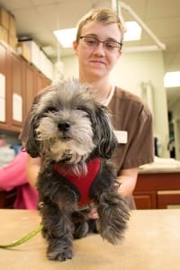 Megan McLaurin at Harmony Animal Hospital.