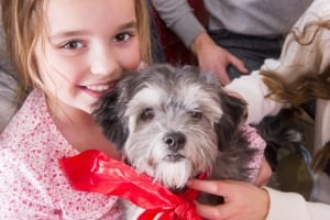New puppy with happy girl who understands her pet's medications.