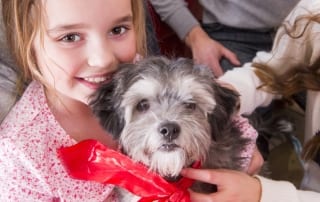 New puppy with happy girl who understands her pet's medications.