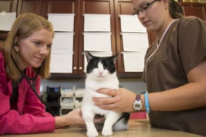 Pet poisoning is a scary experience for you and your pet.