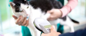 Microchipping for pets is a quick, inexpensive, permanent way to help reunite lost pets with their worried families.