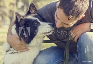 Caring for a deaf dog.
