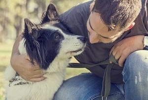 Deafness in dogs doesn’t have to keep them from leading normal, happy lives. Here are some tips for caring for your hearing-impaired canine companion.