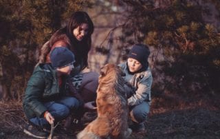 Dog treated for allergies can walk in the woods.