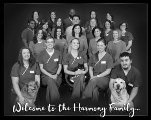 Harmony Animal Hospital Staff