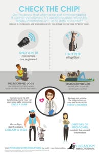 Pet microchip infographic.