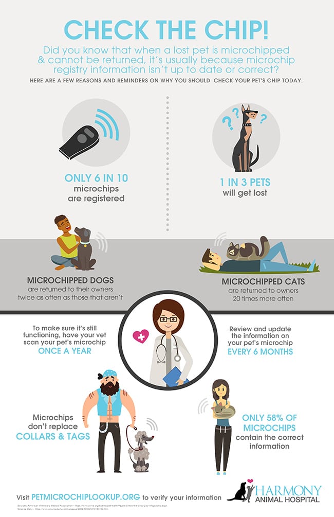 Pet microchip infographic.