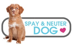 Spay and neuter your dog logo.