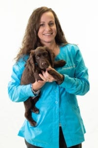 Harmony Animal Hospital - Laura Gaylord, Veterinarian