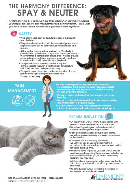 Harmony_Animal Hospital Spay & Neuter Infographic