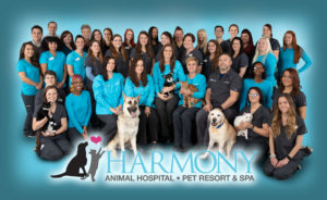 Harmony Animal Hospital staff.