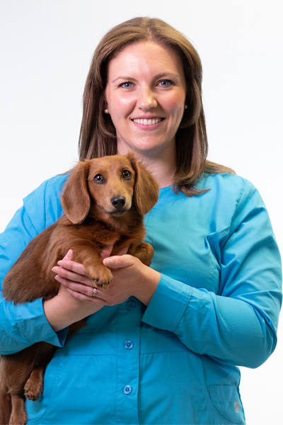 dr-molly-shelton - Harmony Animal Hospital dr-molly-shelton - Harmony Animal Hospital