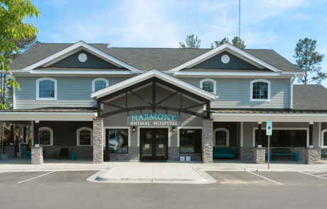 harmony-animal-hospital-front-large Harmony Animal Hospital Entry.