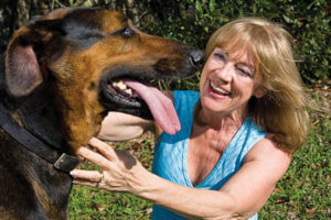 holistic pet medicine