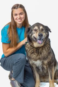 Harmony Animal Hospital - Kaya Canfield