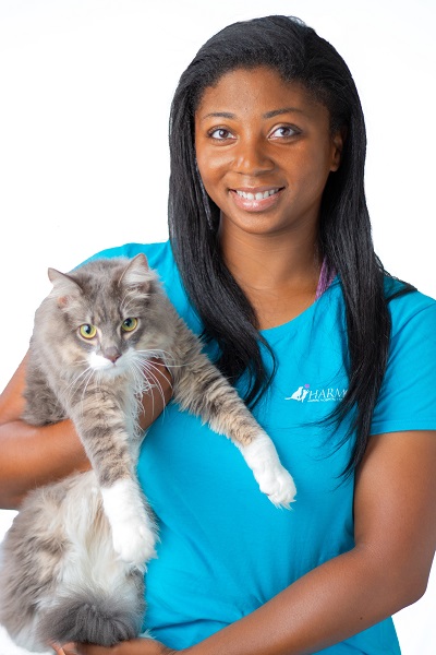 harmony animal hospital harmony animal hospital
