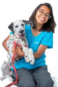Harmony Animal Hospital - Deysy Ortiz - Resort attendant
