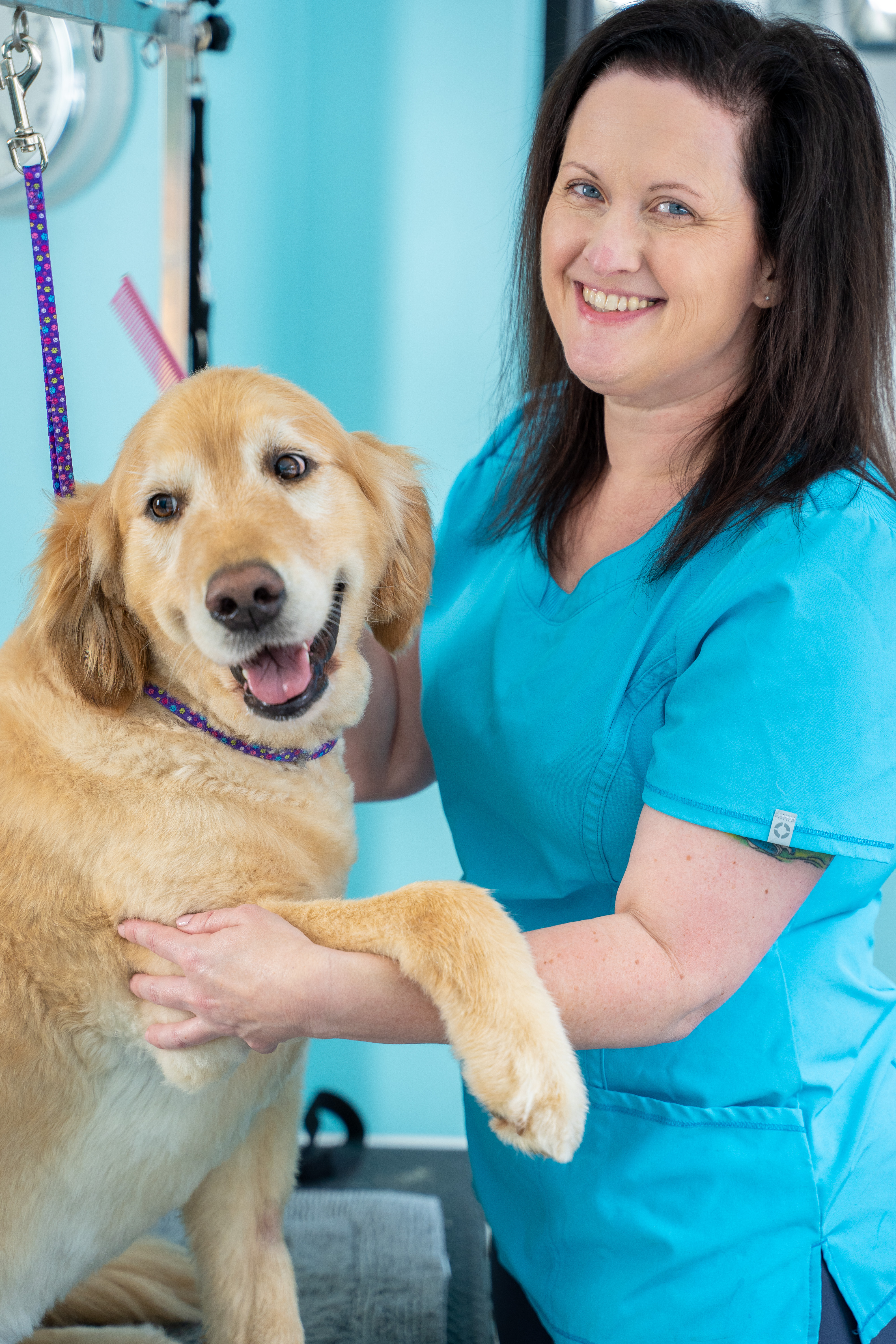 heart and harmony vet clinic columbus ohio heart and harmony vet clinic columbus ohio