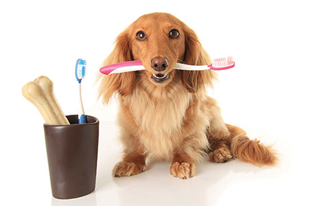broken tooth restoration broken tooth restoration