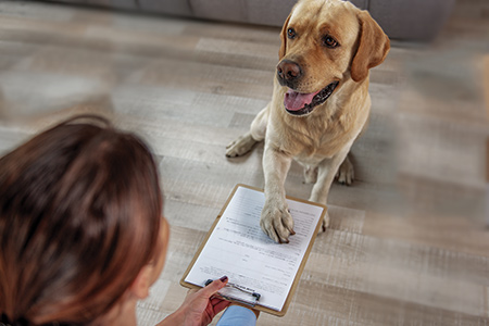 Existing Client Forms Existing Client Forms
