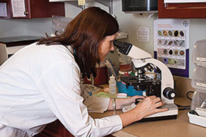 Pet Biopsies