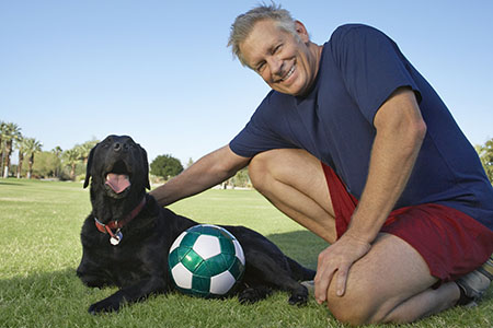 pet limb amputation pet limb amputation
