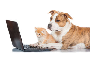 pet records request