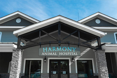 pets in harmony veterinary hospital pets in harmony veterinary hospital
