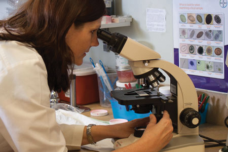 pet-biopsy pet biopsy