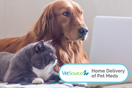 Pets shopping Vetsource online
