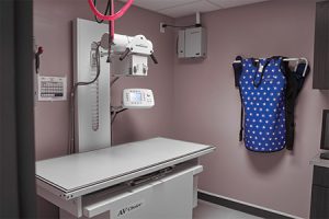 Pet X-Ray Table