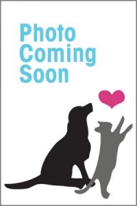 photo-coming-soon-600×400