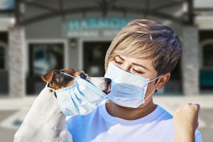 Coronavirus Covid-19 Harmony Animal Hospital Updates