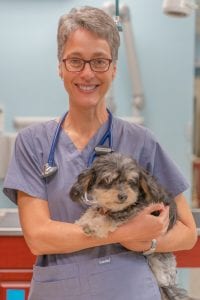 Dr. Claudia Sheppard HARC Vet holding a small dog