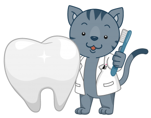 Proactive Dental Care for Your Kitten