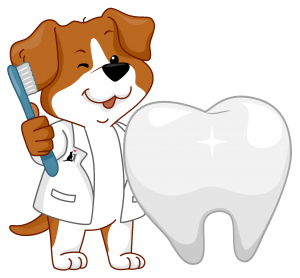 Proactive Dental Care for Your Puppy