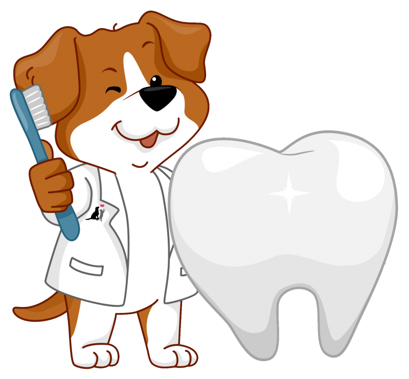 puppy-dentist - Harmony Animal Hospital