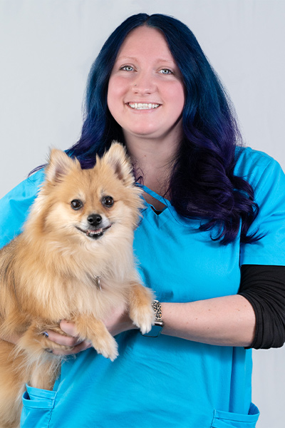 harmony animal hospital harmony animal hospital