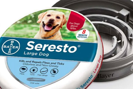 Are Seresto Collars Safe For Your Pets?