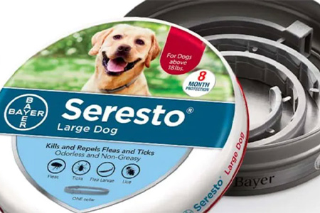 how old does a puppy have to be to use seresto